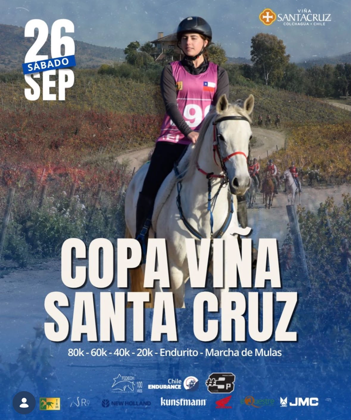 COPA VIÑA SANTA CRUZ